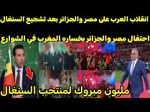 بالفيديو انقلاب العرب على مصر والجزائر بعد الاحتفالات في الشوارع بخسارة المغرب كأس أمم افريقيا