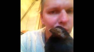Video Thumbnail for IMG 1683