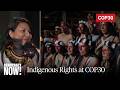 Indigenous Leaders Converge in Belém, Brazil, Demanding Greater Role at U.N. Climate Talks