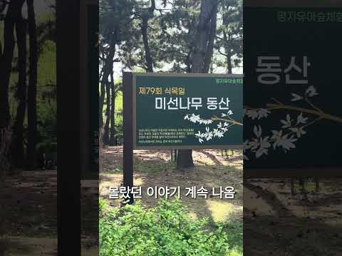 강서구 서포터즈5기 엘레강서 생태체험 #shorts #부산강서구 #강서구 #강서구청 #생태체험 #무료체험 #숲해설 #아이와가볼만한곳 #부산아이와가볼만한곳 #자연놀이터 #강서평생학습