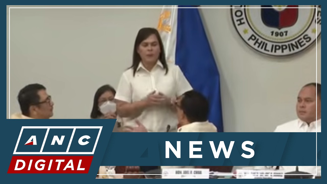 Lawmakers: VP Duterte's 2028 plans announcement won't erase alleged offenses | ANC