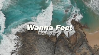 Dj Wanna Feel x Melody Old (Remix Version 2024)