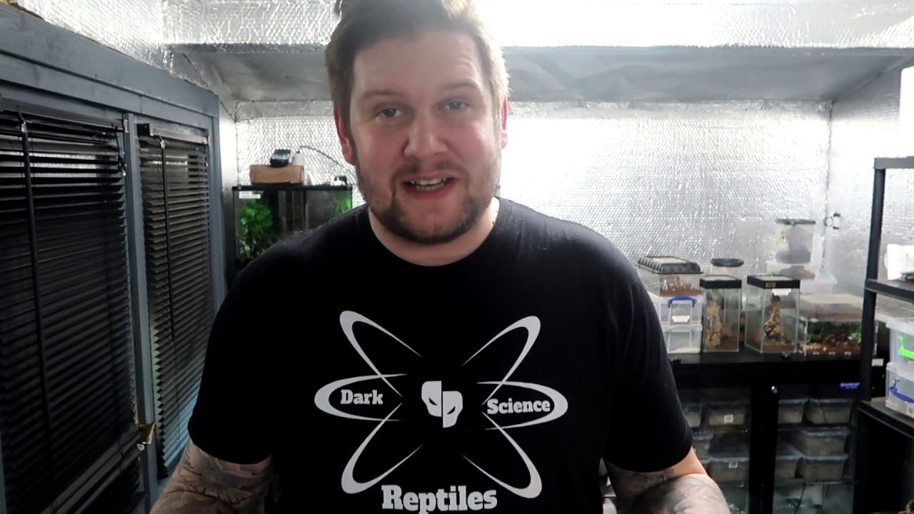 camera iphone 8 plus apk feeding and some updates