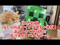 【限界突破】ちいかわ＆マイクラ爆買い地獄！着ぐるみで絶叫開封＆中身がヤバすぎた…！】2025年05月23日