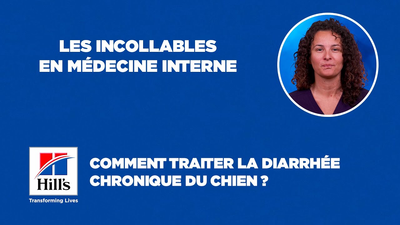 HILL'S - Comment traiter la diarrhée chronique du chien ?