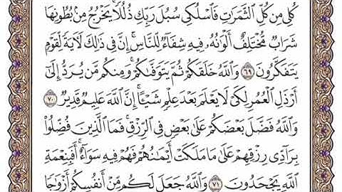 سورة النحل الشيخ ياسر الدوسري صفحة ٢٧٤