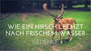 Video thumbnail of "Wie ein Hirsch lechzt nach frischem Wasser | Gedenke"