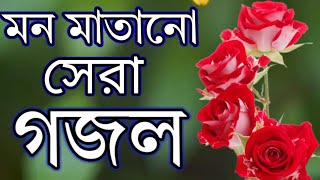 মন যদি দিতে হয় নবীকে দিও ll ভালো যদি বাসতে হয় নবীকে বেসো llislamicgazal islamicmusic islamic