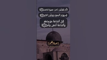 سورة القمر الآية ٤٤ الى ٤٨ بصوت الشيخ محمد صديق المنشاوي