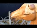 Schleich Music Video Mongliht рџЊ рџЊљрџЊЊ Schleich Music Video Mongliht рџЊ рџЊљрџЊЊ