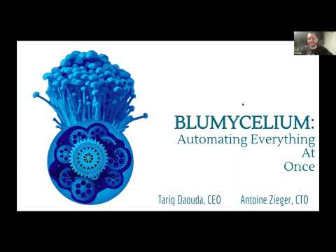 Bluwr.com: Using Blumycellium automation tools with ArangoDB backend