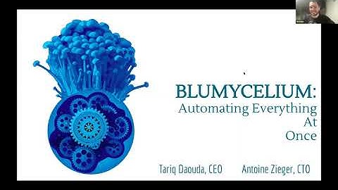 Bluwr.com: Using Blumycellium automation tools with ArangoDB backend