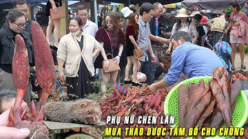 Du khách khắp nơi chen lấn mua Dược Liệu Rừng tại chợ phiên Bắc Hà đông nhất Tây Bắc bất kể Nắng Mưa