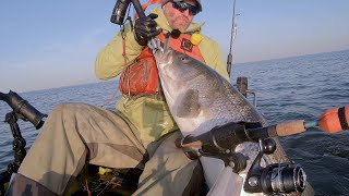 Fishing for Monster Striped Bass During the Migration. Here's How I Troll for Dozens of 40"+ Fish