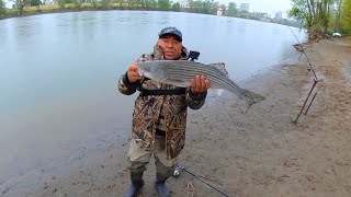 Big Striper Fishing on Rainy Day 🔥🎣🐠 - Sacramento River