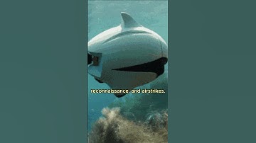 Fun facts about Unmanned aerial vehicles & unmanned underwater vehicles #army #ai #usa #viral #fyp