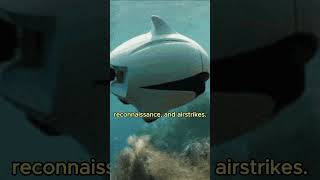 Fun facts about Unmanned aerial vehicles & unmanned underwater vehicles army ai usa viral fyp