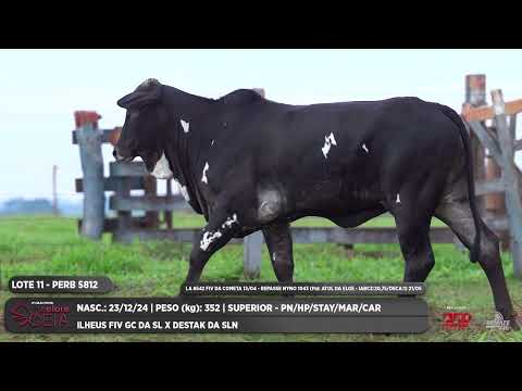 LOTE 11 PERB 5812