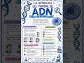 25 CELEBRACION Y HISTORIA DEL #ADN #shortsviraltvtv #history #historia #life #duet #vida #ciencia