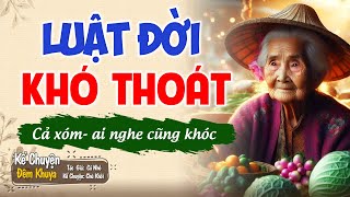 Tối nay nhất định phải nghe "LUẬT ĐỜI KHÓ THOÁT" | Truyện Ngủ Ngon #Nghetruyendengu