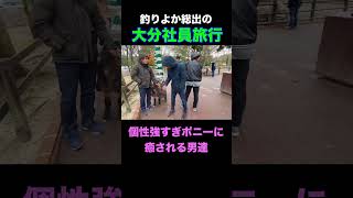 サファリパークの癖強ポニーの行動に癒される男達 #shorts #佐賀よかでしょう #佐賀よか #社員旅行