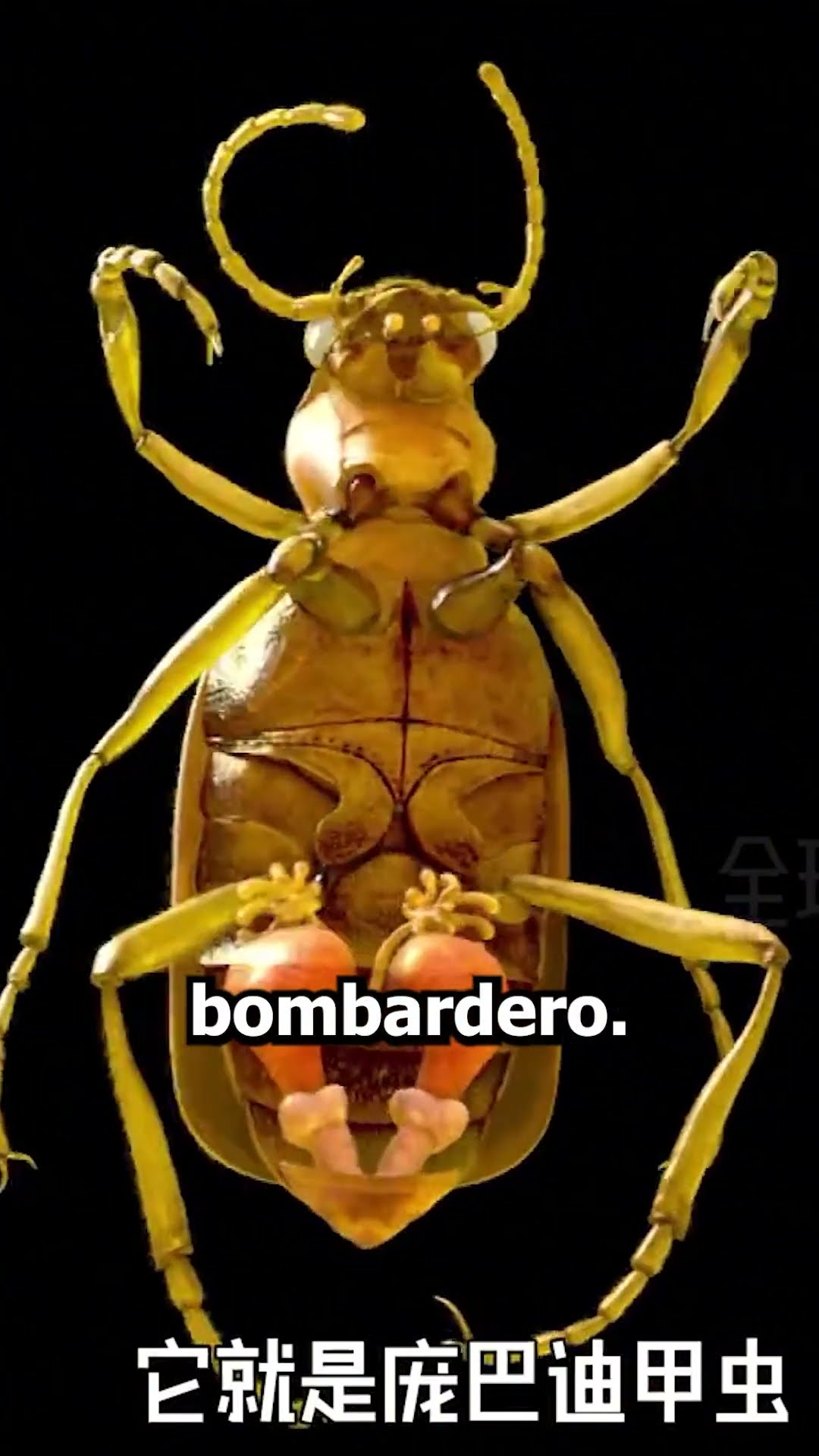 Increible TACTICA de DEFENSA?