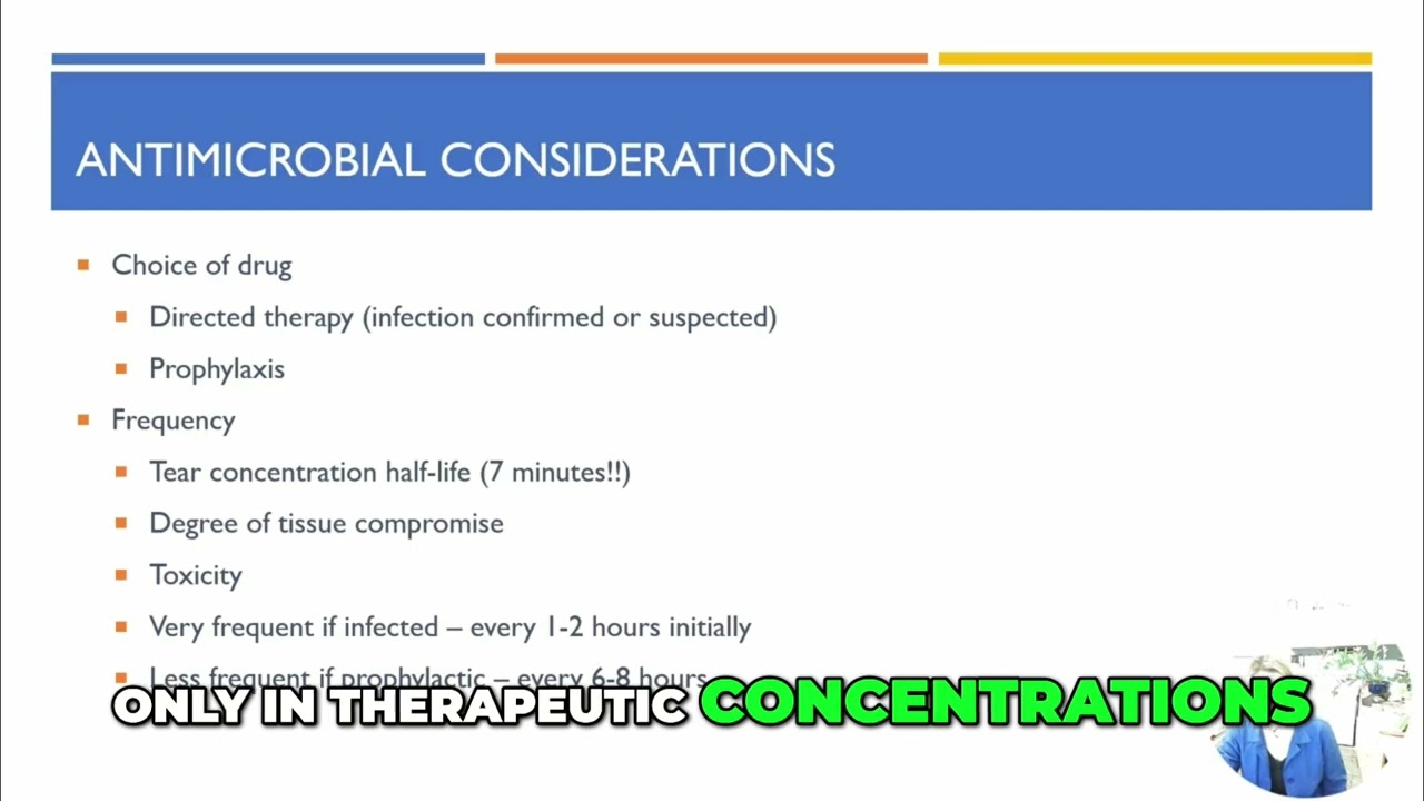 How to Treat Equine Corneal Ulcers Effectively with Targeted Antibiotics
