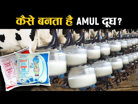 वीडियो: दूध की थैली का बढ़ना