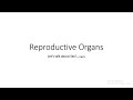 Reproductive System (VETERINARY ASSISTANT EDUCATION)