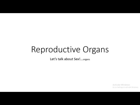 Reproductive System (VETERINARY ASSISTANT EDUCATION)