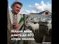 Козяча ферма: як заробити і добре жити