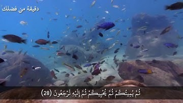 سورة البقرة من الاية(28)الى الاية(30)