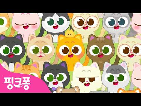 너무 귀여워💛 아기 고양이 니니모 특집 🐱 | +모음집 | 핑크퐁의 단짝친구 니니모 | Ninimo | 고양이 동요 | 핑크퐁! 인기동요