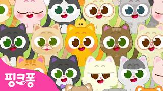 너무 귀여워💛 아기 고양�...