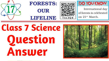 Pseb Class 7 science chapter 17 Forest Our Lifeline  ll question answer ll full explanation