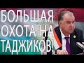 &quot;Охота&quot; на мигрантов. В России проходит операция &quot;Нелегал-2023&quot;