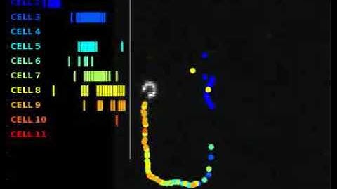 Hippocampal place cell firing