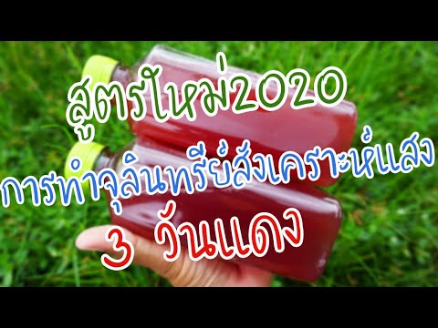 วิธีทำจุลินทรีย์สังเคราะห์แสงแบบไม่มีหัวเชื้อ 3 วันแดงสูตรใหม่2020