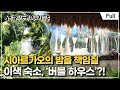 Full 세계테마기행 겨울이 오면 필리핀 불타는 청춘 시아르가오 Full 세계테마기행 겨울이 오면 필리핀 불타는 청춘 시아르가오