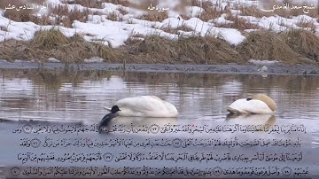الشيخ سعد الغامدي سورة طه HD