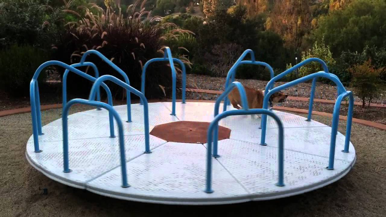 merry go round - potomac mills mall - Playground