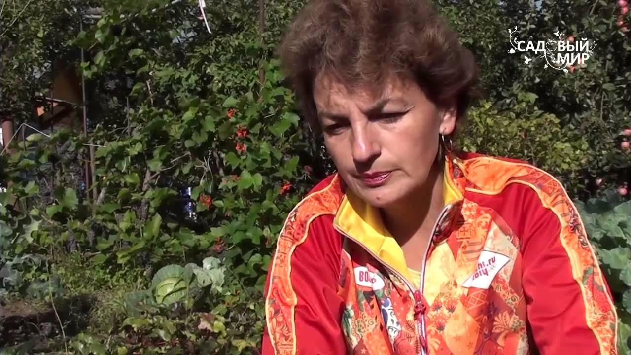 Садовый мир с натальей петренко. Садовый мир. Садовый мир. Садовый мир с натальей петренко хвойники. Садовый мир новгород.