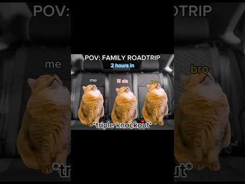 Cat Memes: Roadtrip Pt. 1 | Shorts Cat Relatable