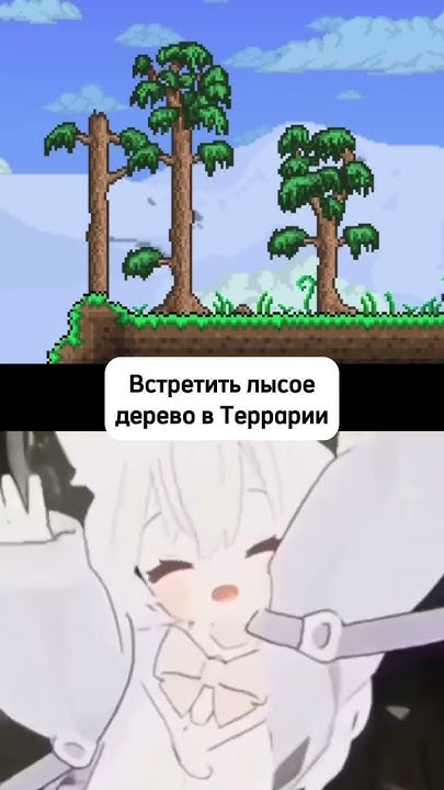 Лысое дерево в Майнкрафт и в Террария - YouTube