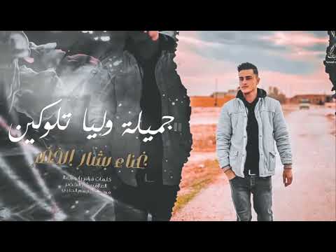 بشار الخضر جميلة وليا تلوكين          