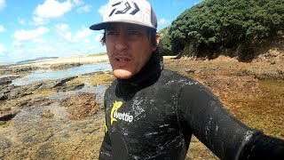 Diving & Spearfishing Beautiful Houhora