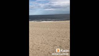 10 De Agosto De 2021