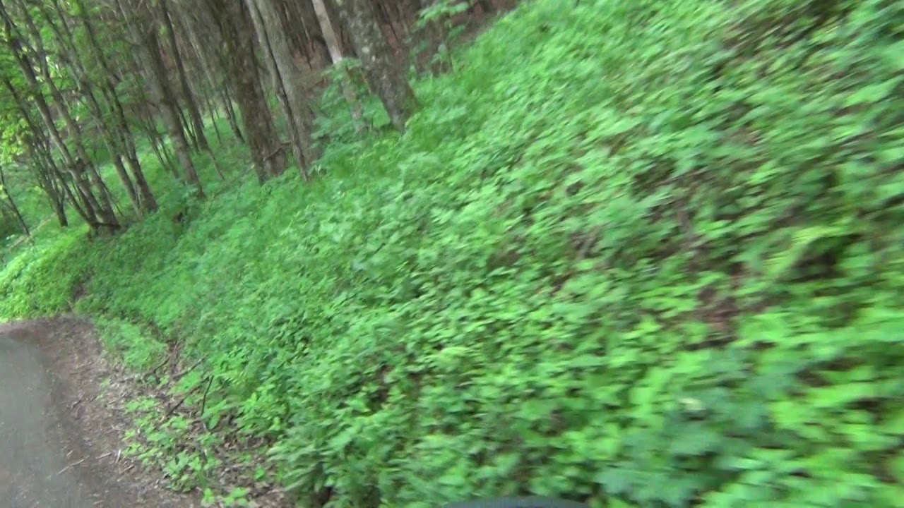 Lansing NC to Pond Mountain Game Lands part 4/6 YouTube