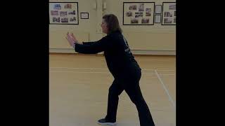 Inner Balance Tai Chi 108 Move Set