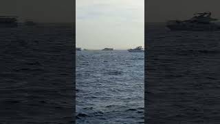 Manzara Mı Güzel ? Şarkı Mı Güzel?